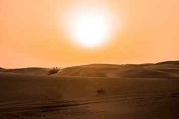 Scenic view of the sun setting over sand dunes in the Dubai desert. HD wallpaper