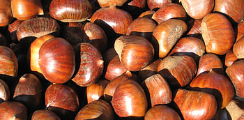 Luigi Fenaroli, Chestnut lover, Italian traditions, Appreciation for chestnuts HD wallpaper