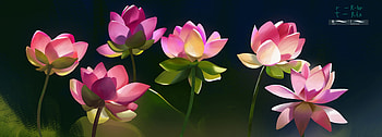 Lotuses, black, anastasia shestak, summer, pink, fantasy, flower, waterlily, lotus, vara HD wallpaper