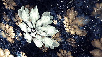 Floral, pattern, fractal, abstract, flowers HD wallpaper