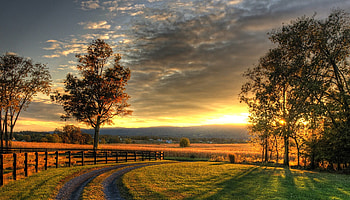 Dawn in the country, trees, fields, dawn, countryside HD wallpaper