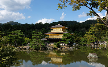 Pagoda, building, park, lake HD wallpaper