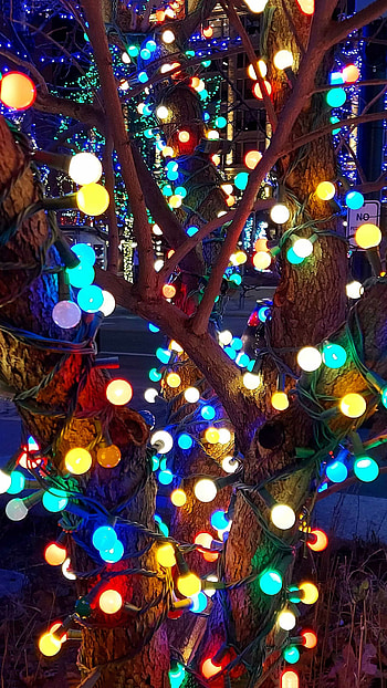 Christmas lights, Festive glow, Holiday decorations, Twinkling bulbs HD phone wallpaper