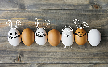 easter egg, holiday, Easter HD wallpaper