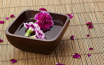 Flowers, Water, Background, Miscellanea, Miscellaneous, Basket HD wallpaper