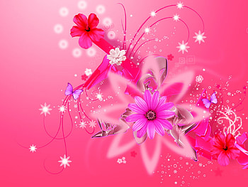 PINK IS IN!!!!!!!!!!!!, floral, pink, abstract, butterfly HD wallpaper