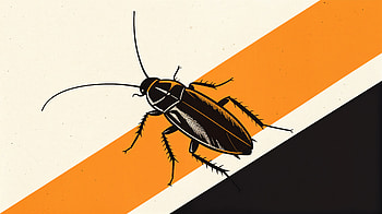 Cockroach Ultra : Bold and Striking Design, cockroach, insect, illustration, graphic design HD wallpaper