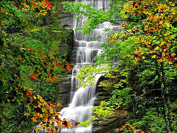 Rocks waterfall, colorful, serenity, quiet, greenery, cascades, autumn, water, calm, fall, rocks, falling, leaves, cliffs, branches, waterfall, nature, forest HD wallpaper