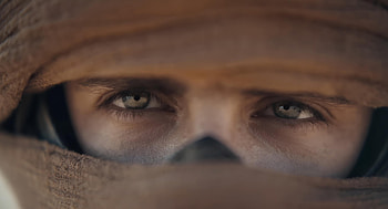 Dune Part Two - Intense Gaze, Timothée Chalamet, movie, Dune: Part Two HD wallpaper