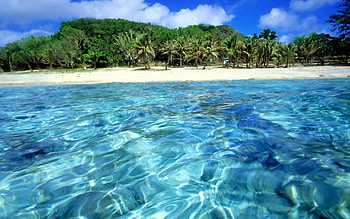 Landscape, Water, Trees, Sea, Beach HD wallpaper