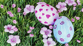 Blessed Easter, soft, pastel colors, beautiful, flowers, eggs HD wallpaper