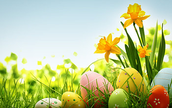Easter , Colorful design, Holiday cheer, Festive vibes HD wallpaper