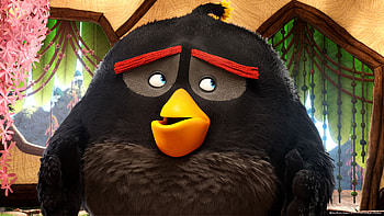 Bomb In The Angry Birds Movie, angry-birds, birds, movies, animated-movies, 2016-movies, the-angry-birds-movie HD wallpaper