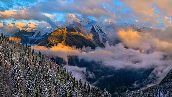Morning Fog, nature, fog, mountains, morning HD wallpaper