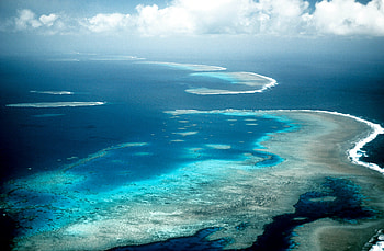 Great Barrier Reef , Spectacular underwater landscapes, Vibrant coral life, Mesmerizing marine diversity HD wallpaper