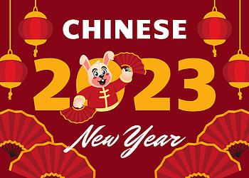 Year of the rabbit, holiday, Chinese New Year HD wallpaper