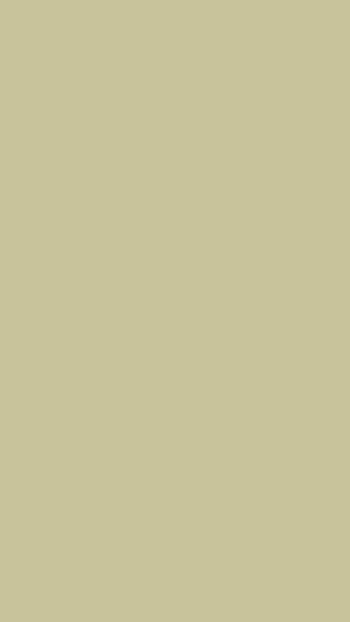 Background, Texture, Textures, Minimalism, Color, Monochromatic, Plain, Beige HD phone wallpaper