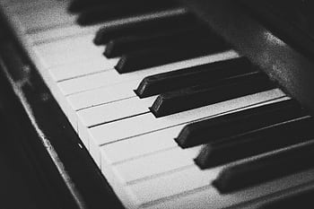 Elegant black and white close-up of piano keys, highlighting musical beauty. HD wallpaper