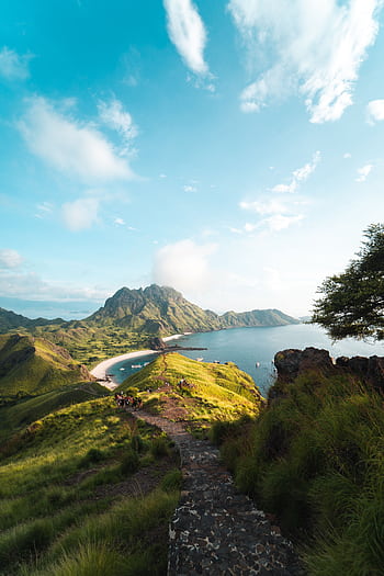 A stunning view of Padar Island with lush greenery and coastal landscapes under a bright sky. HD phone wallpaper