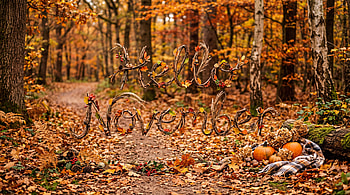 Hello November, Forest, Path, Autumn, Pumpkin HD wallpaper