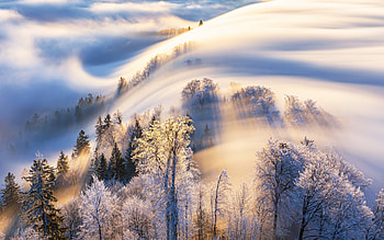 Morning Fog, fog, sunlight, morning, mountain HD wallpaper