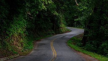 Winding road, abstract, graphy, green, trees, road, nature, winding HD wallpaper
