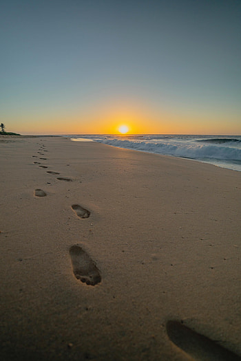 Nature, Sunset, Beach, Sand, Traces HD phone wallpaper