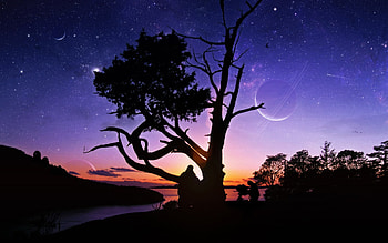 Landscape, Trees, Sunset HD wallpaper
