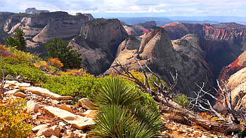 West Rim Trail, Utah USA, Ultra HD wallpaper