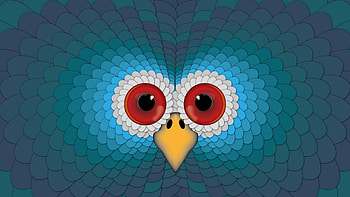 Vector, Owl, Bright, Beak, Eyes, Surface HD wallpaper