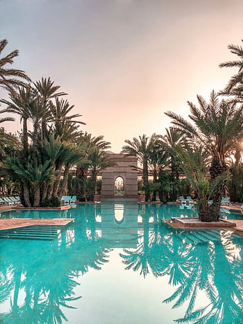 Idyllic tropical resort pool with palm trees reflecting at sunset. HD phone wallpaper