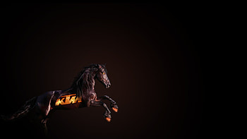 Ktm Horse, ktm, horse, funny HD wallpaper