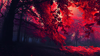 Dark Red HD wallpaper