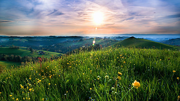 Sunlight over mountain hills, sunshine, rays, hills, sunlight, glow, beautiful, grass, mountain, summer, wildflowers, valley, sky, sun HD wallpaper