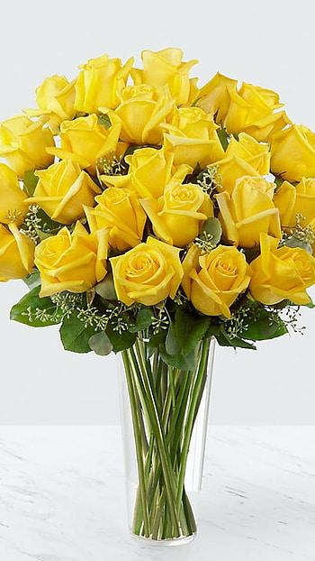 Yellow Rose, Beautiful Yellow Rose HD phone wallpaper