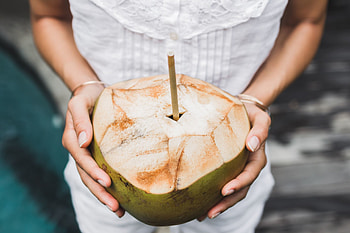 Hawaiian coconut history, Koloa Landing Resort, Cultural significance, Iconic tree HD wallpaper