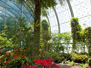 Singapore Changi, worlds best airport, doubling size HD wallpaper