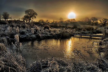 Dawn at Coddington, dawn, frost, england, lake HD wallpaper