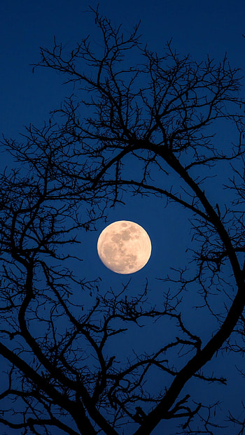 Moon in Beijing, , Aerial beauty, Lunar scenery HD phone wallpaper