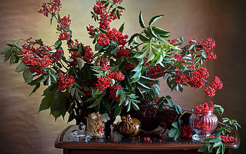 Rowan Still Life, glass, still life, berries, rowan HD wallpaper