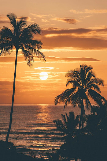 Kauai, Sunrise sunset, Nature , Serene beauty HD phone wallpaper