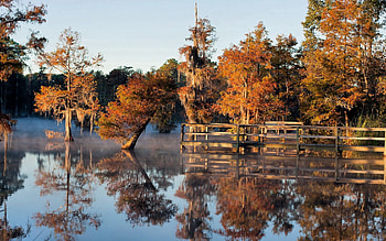 Nature, Trees, Autumn, Lake, Bridge, Under Water, Underwater HD wallpaper
