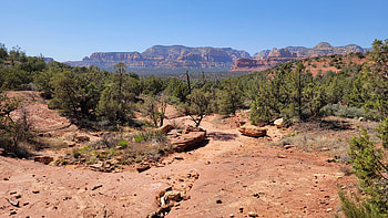 Sedona, Arizona, plants, rocks, stones, landscape, sky, usa HD wallpaper