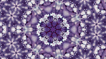 Flowers, Patterns, Miscellanea, Miscellaneous, Kaleidoscope HD wallpaper