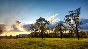 Engerwitzdorf, Austria, trees, meadow, alps, village, landscape HD wallpaper