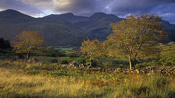Wales, Snowdonia landscape, Green bridge, Wales HD wallpaper