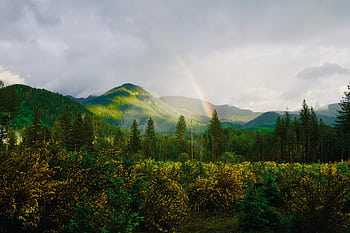 Captivating view of a rainbow over lush green mountains and forests, showcasing nature's serene beauty. HD wallpaper