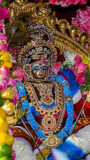 Thiruchendur Murugan, Devotional, Hindu Lord HD phone wallpaper