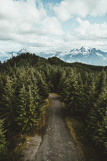 Landscape, Nature, Trees, Sky, Mountains, Usa, View From Above, Road, United States, Darrington HD phone wallpaper