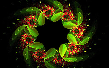 Abstract, Flowers, Background, Lines, Colorful, Colourful, Wreath HD wallpaper